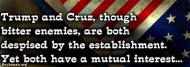Lock Out the Establishment in Cleveland!